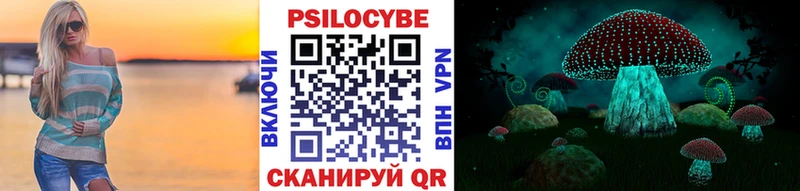 продажа наркотиков  Болхов  Галлюциногенные грибы MAGIC MUSHROOMS 